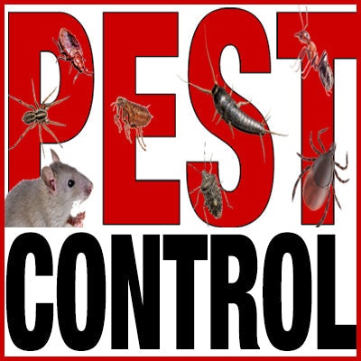 Pest Control Doesn't Need To Get Out Of Control