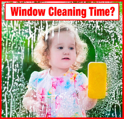 Cleaning Windows Like a Professional