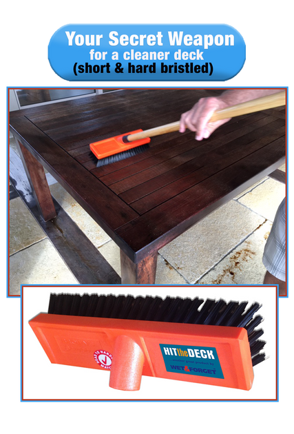Hit The Deck Deck Cleaning Removal of Black Mould Wet