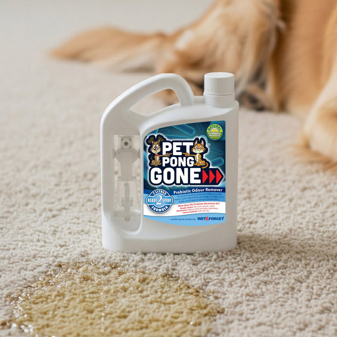 Removing Pet Odours Naturally