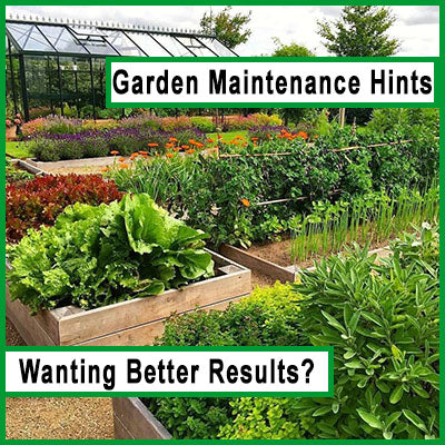Garden Maintenance For the Best Results