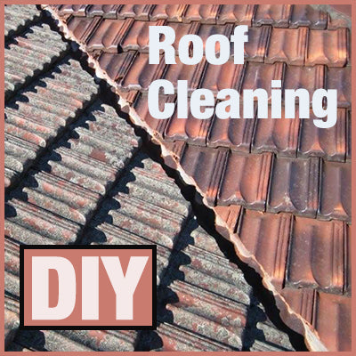 DIY Roof Cleaning with Rapid Application