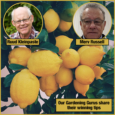 Get That Garden Growing - Winning Tips