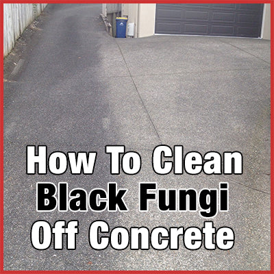 How To Remove Black Fungi Off Concrete