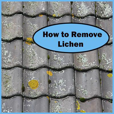 Remove Lichen from Roofs, Concrete, Pavers & Trees