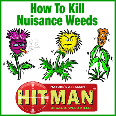 What is the Best Weedkiller?