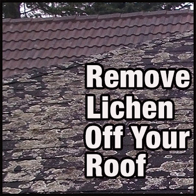 How To Remove Lichen Off Your Roof