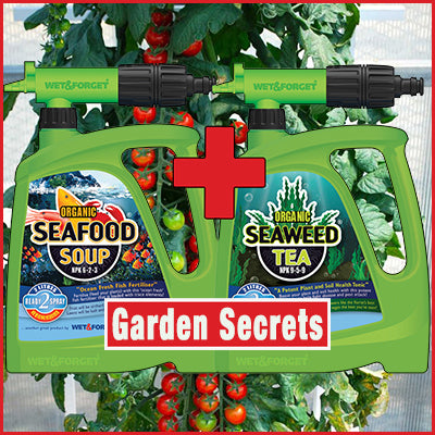 Garden Secrets to Be WOWED by!