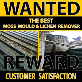 Cure the Exterior Moss and Mould Issue
