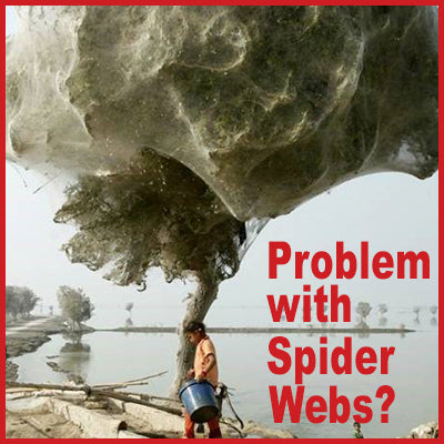 Cobwebs on a Grand Scale - Controlling Spiders