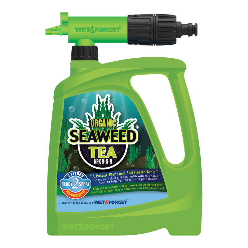 Seaweed Tea: Organic Plant & Soil Tonic