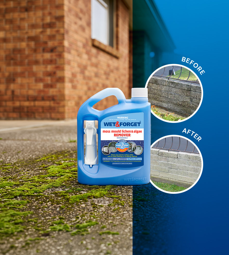 Wet & Forget: Outdoor Moss, Mould, Lichen & Algae Remover - Ready to use 2L