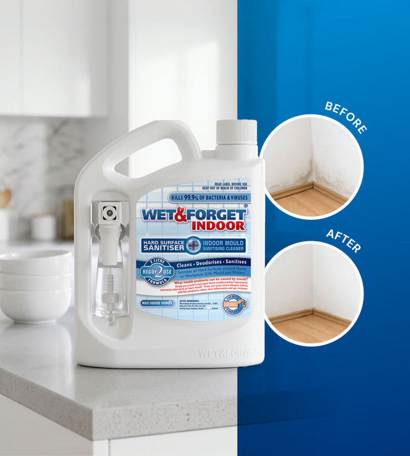 Wet & Forget: Indoor Mould Mildew Remover