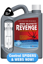 Ants in Ya Pants: Ant Control