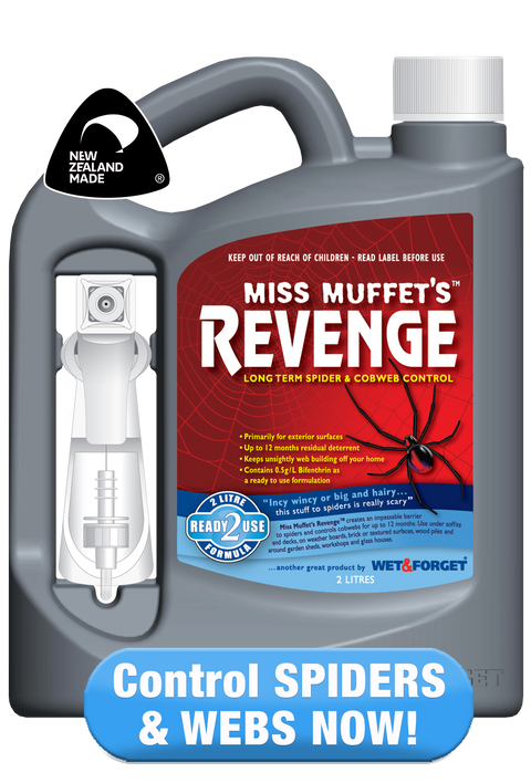 Ants in Ya Pants: Ant Control