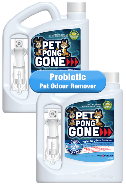 Pet Pong Gone - Twin Pack