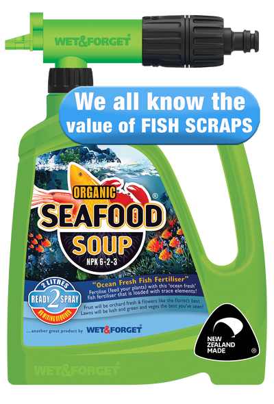 Seafood Soup (Organic)