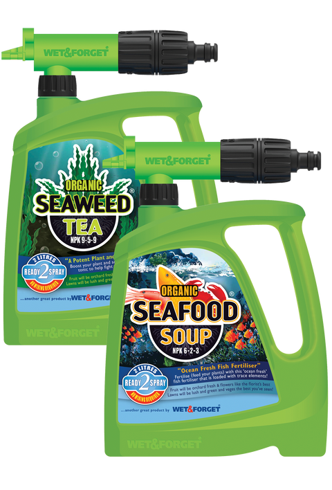 Seafood Soup: Organic Plant Fertiliser