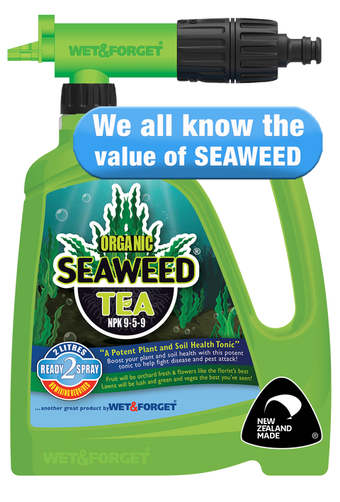 Seafood Soup: Organic Plant Fertiliser